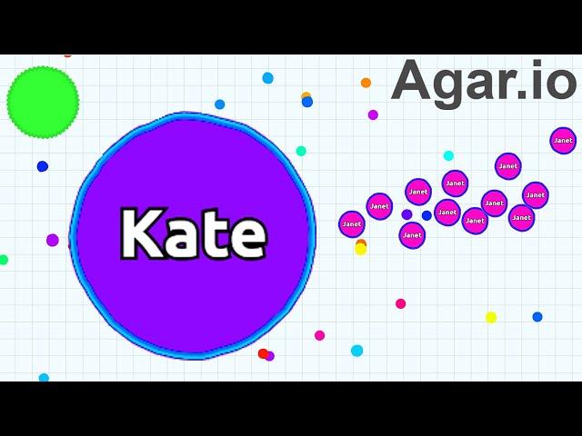 Agar.io Largest Mass Challenge!