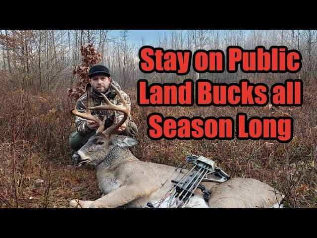 Stay on Public Land Bucks all Season Long