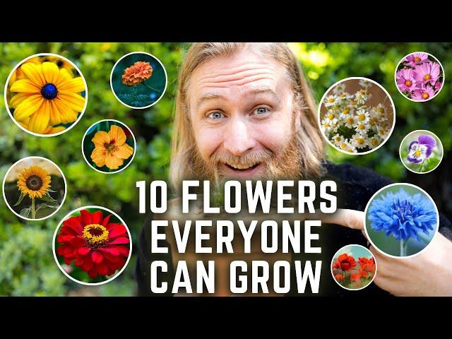 10 Flowers  So EASY to Grow You'd Be Crazy NOT To! 