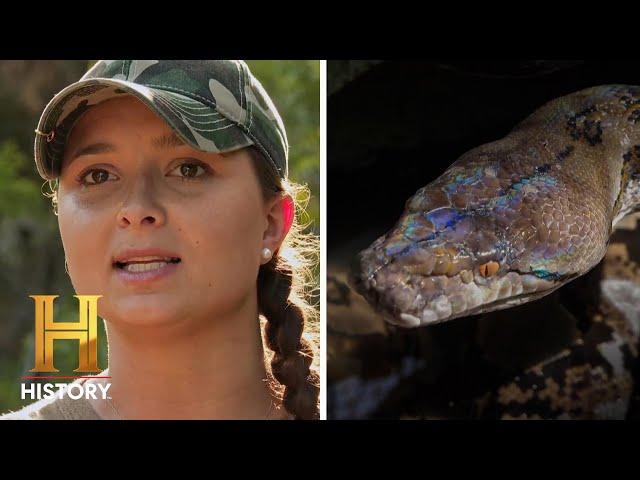 18-FOOT-LONG SERPENT Strikes Again | Swamp People: Serpent Invasion (Season 3)