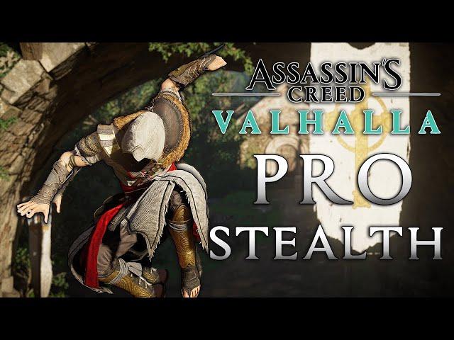 Hyper-Cinematic Stealth Kills | AC Valhalla Bayek Outfit