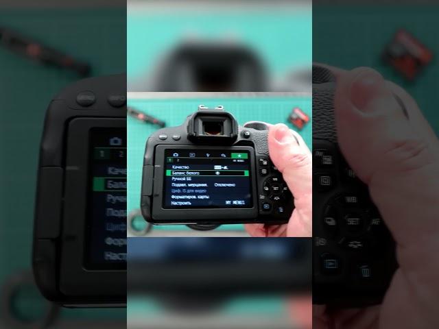  Лучший зеркальный фотоаппарат для начинающего фотографа!
