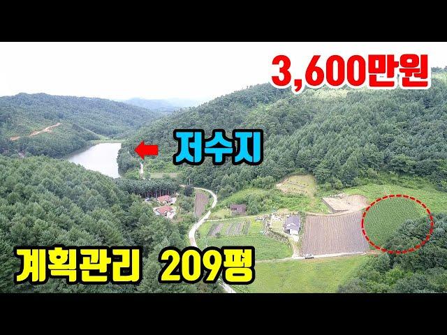 [강원도싼땅매매]   정남향~   건축가능한~   소형토지매매   ●   209평  3,600만원  ●  (8125)