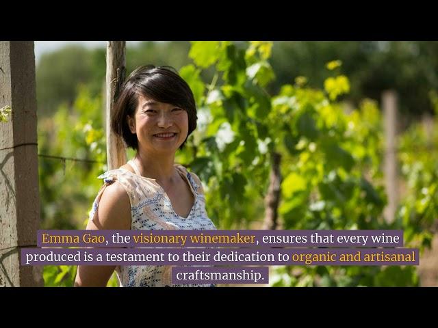 13#Wine Estate - Silver Heights : Pioneering Biodynamic Winemaking in China’s Helan Mountains 