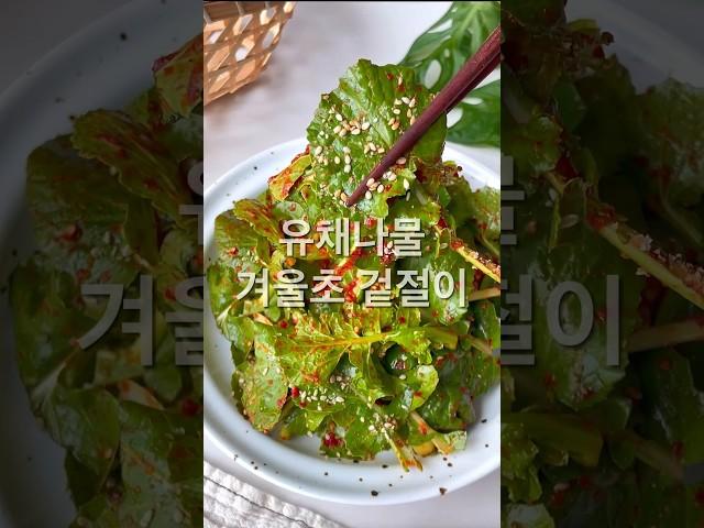 겨울초 무침 유채나물 겉절이 만들기