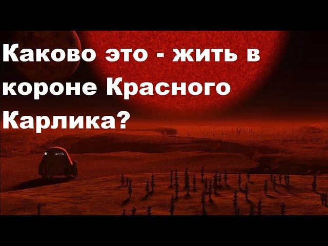 Каково это - жить в короне Красного Карлика?