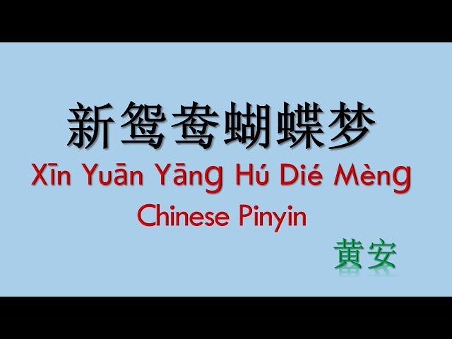 Xin Yuan Yang Hu Die Meng  Chinese Pinyin  新鸳鸯蝴蝶梦