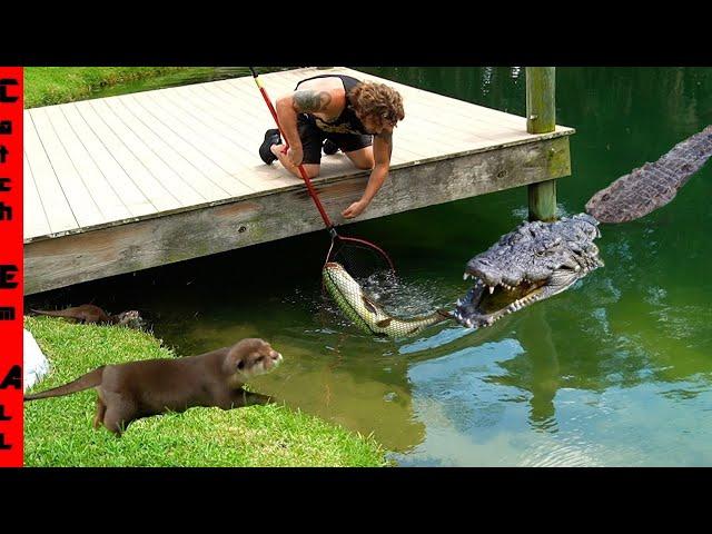 DO NOT GO FISHING around CROCS and OTTERS! **Survival in the Ark**