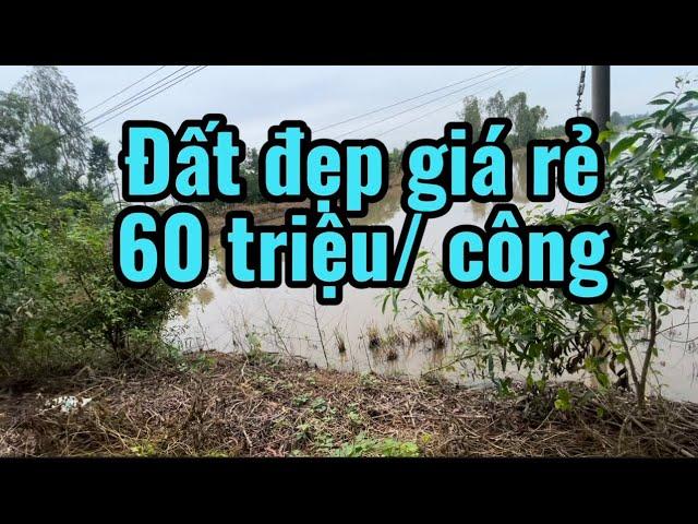 Đất đẹp giá rẻ 60 triệu/ công , có sẵn nền nhà 200 thổ cư, nhận ký gửi nhà đất các tỉnh 0792246079