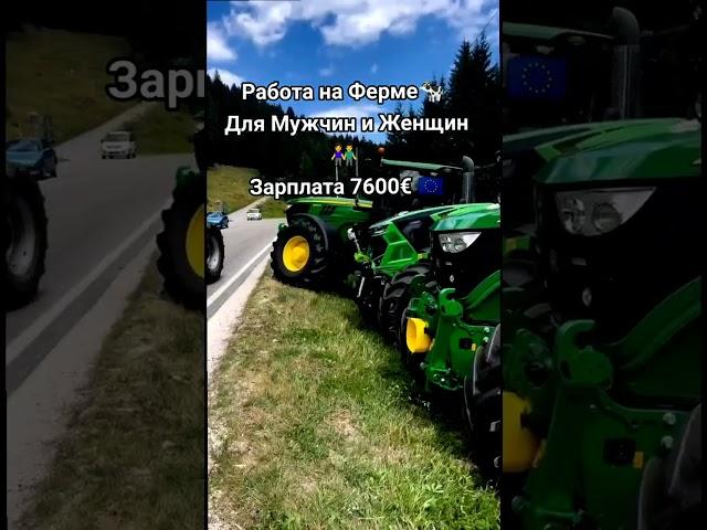 Работа в Европе #вакансии #работавевропе