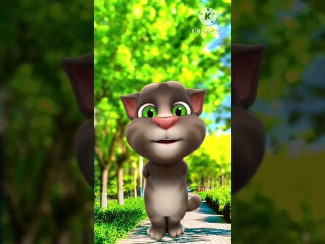 bhohpuri song bhojpuri gana #shortvideo #billi #video #shortfeed #subscribe #cat #trending #viral