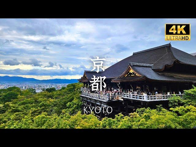 [ Kyoto ] Best place to experience traditional and charm of #Japan #kyoto