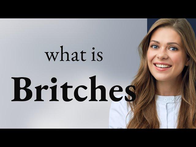 Britches — definition of BRITCHES