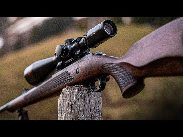 TOP 10 Best .22LR Rifles: The Most Accurate .22 Rifles 2023