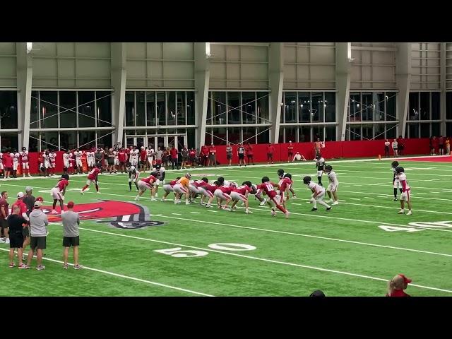 Tampa Bay Buccaneers LB K.J. Britt and WR Trey Palmer SCUFFLE At Camp!