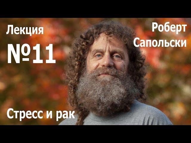 Лекция №11. Роберт Сапольски — «Стресс и рак»