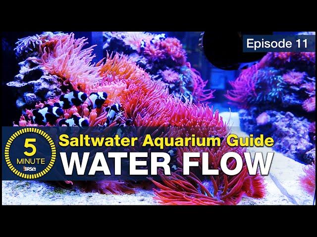 How to choose powerheads and get flow right the first time. Saltwater Aquarium Flow