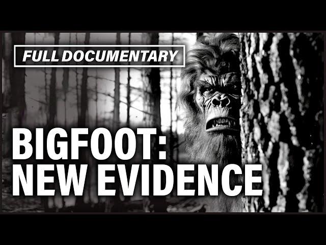 Don't Call Me Bigfoot I Absolute Mysteries