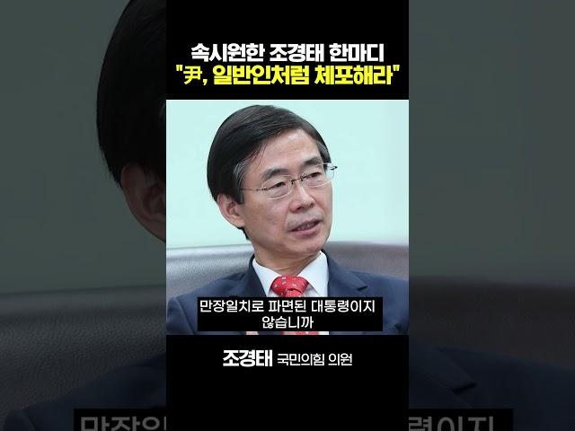 조경태 "尹 수사 불응? 일반인처럼 체포해서 처벌해라"