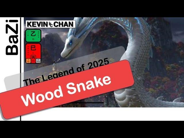 Forecast | 2025 Annual BaZi General Guide | Kevin Chan