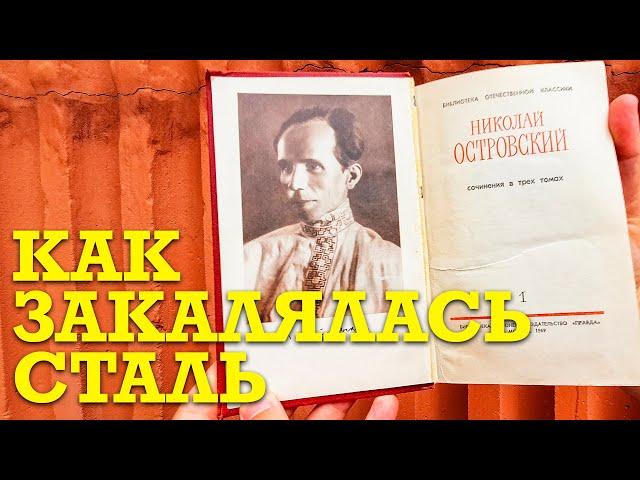О чем книга "Как закалялась сталь" Николая Островского?