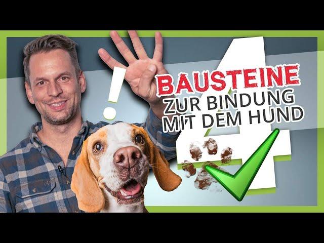 BINDUNG zum Hund aufbauen ▶︎ Die 4 BAUSTEINE einer starken Bindung