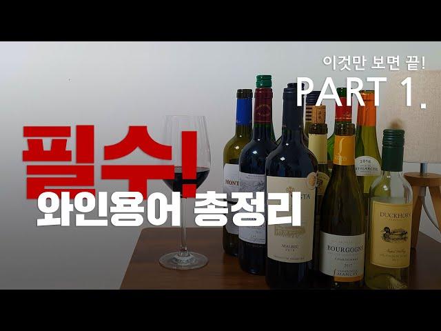 [와인 상식 #01]와인 용어 한번에 정리하기 _ 이것만 알면 진짜 와인 초보 탈출 _ Part. 1/3