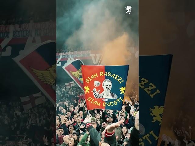 This is Genoa. ️ #genoa #seriea