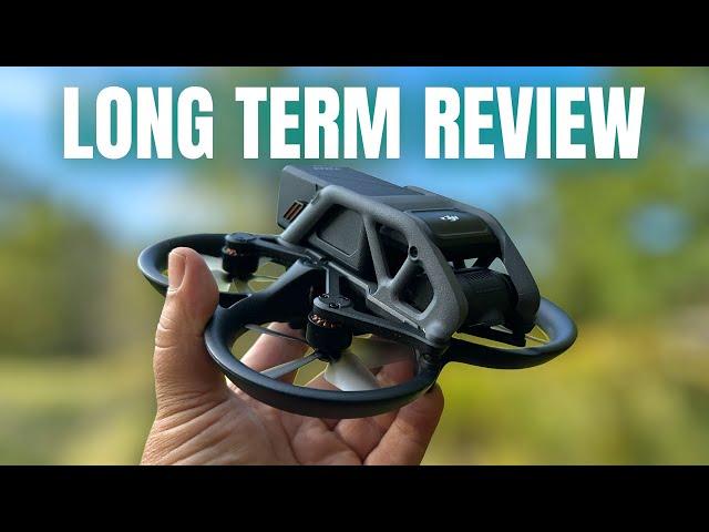 DJI Avata Long Term Review | After 6 Months Of Flying