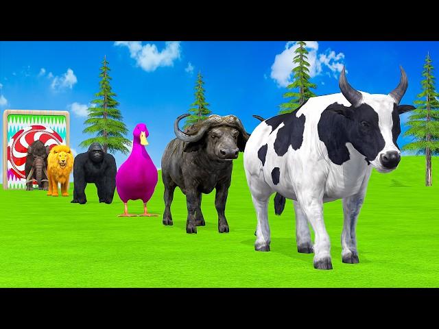 Paint & Animals Duck,Gorilla,Lion,Elephant,Cow,Sheep Fountain Crossing Transformation Animal Cartoon