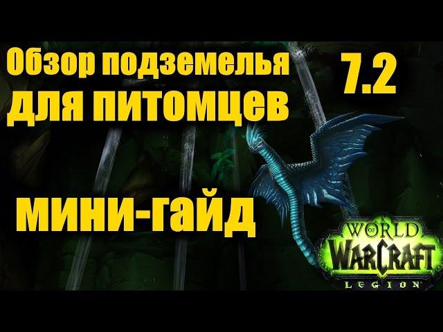 ОБЗОР ПОДЗЕМЕЛЬЯ для ПИТОМЦЕВ (мини-гайд) WoW Легион 7.2