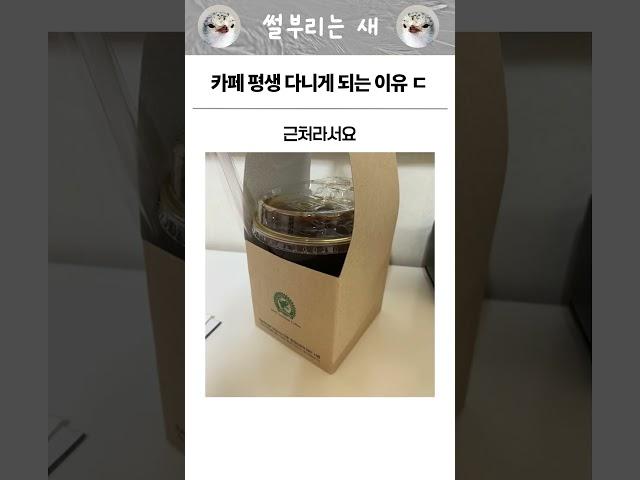 카페 평생 다니게 되는 이유