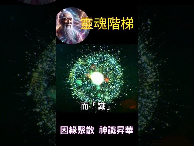 【靈魂階梯】因緣聚散 神識昇華  #開悟 #覺醒 #靈性成長