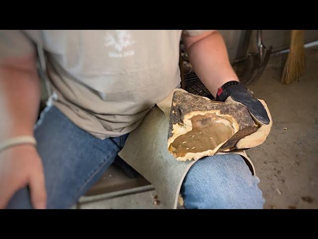 20-Minute Challenge! Flint-Knapping a Chert Boulder Start to Finish!