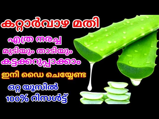 കറ്റാർവാഴമതി എത്ര നരച്ച മുടിയും ഒറ്റയൂസിൽ കട്ടക്കറുപ്പാക്കാം ||Natural Hair Dye||Homemade hairdye