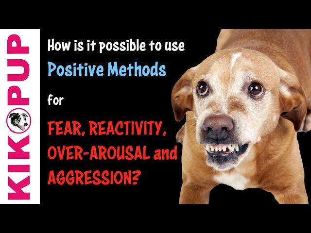 How is it possible to use POSITIVE METHODS for FEAR, REACTIVITY and AGGRESSION in Dog Training?