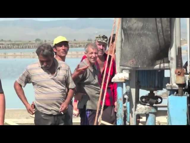 Salt harvesting in Burgas, Bulgaria