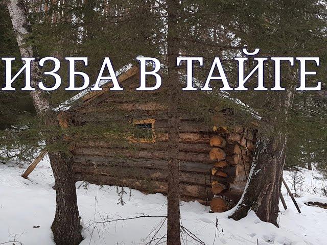 HUT in TAIGA.