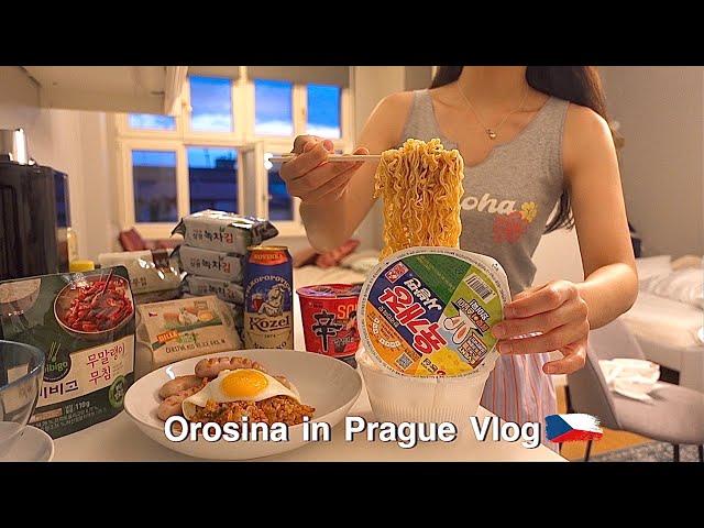 living alone vlogㅣTrip to Prague and Making Korean food. Kimchi Fried Rice. Seaweed soup.