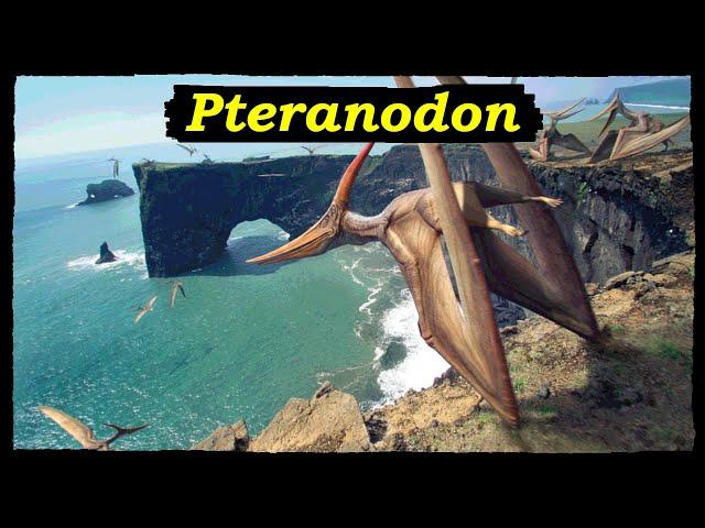 Pteranodon: the Famous Flying Reptile of the Cretaceous!