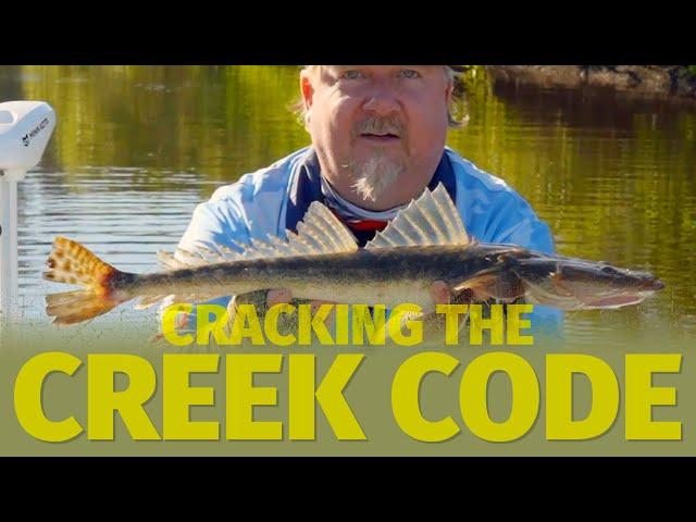 Creek Fishing with Soft Plastics - How to Catch Bream and Flathead