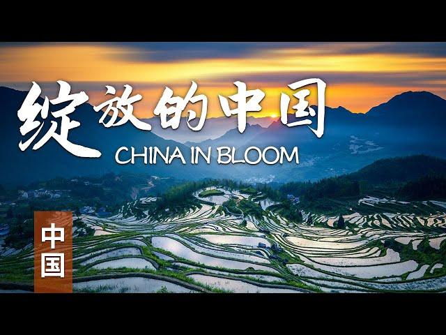 【中国】跟随祥瑞巨兽 感受绽放的中国 | 中华地图