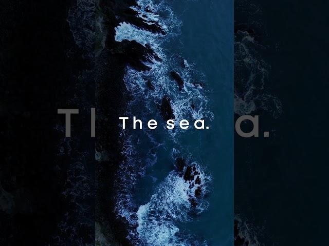 The sea | Instrumental Relax Music #shorts