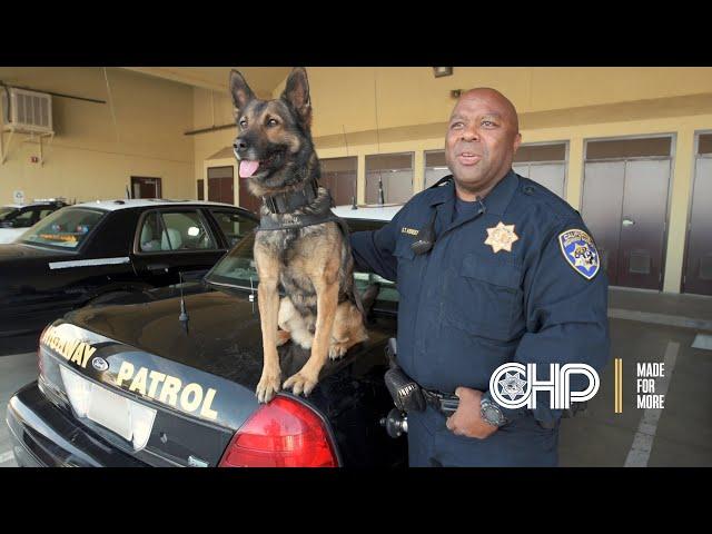 Officer Shane Kensey - K9 Unit Central Division