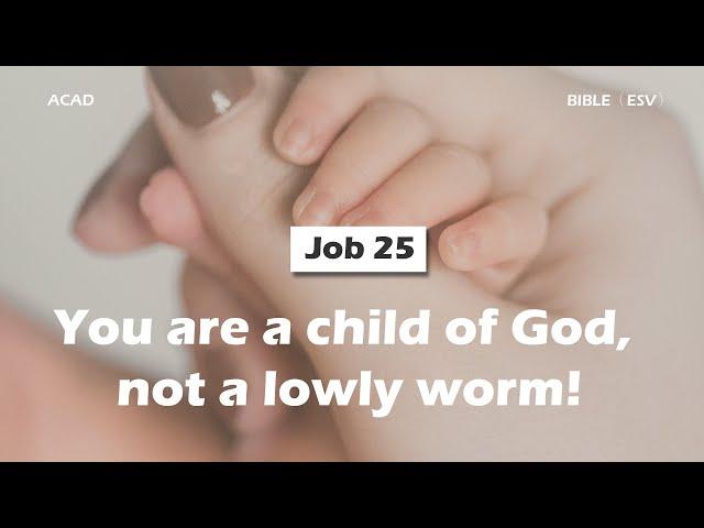 【 Job 25 】You are a child of God, not a lowly worm! ｜ACAD Bible Reading