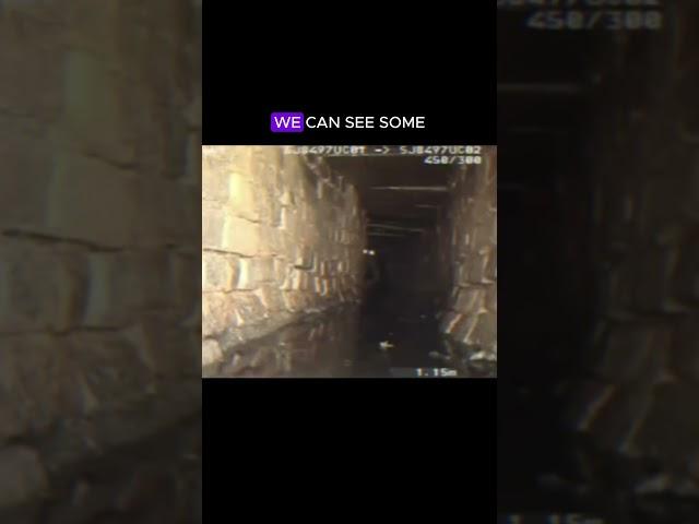 Skinwalker in The Sewers  #scary #urbanlegend #skinwalker