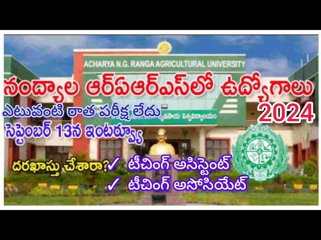 Acharya N.G.Ranga agriculture University Teaching assistant/Teaching associate Notification 2024