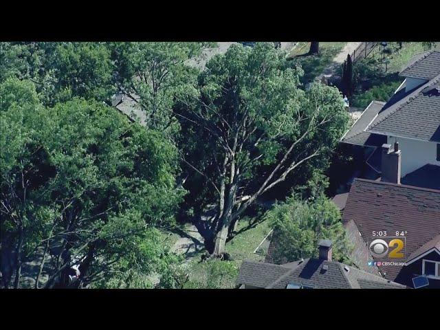 Rogers Park Reeling After Tornado