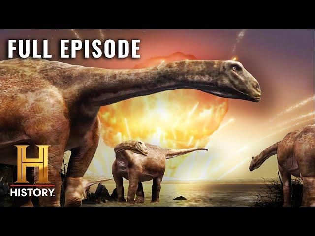 Dinosaurs' Extinction: A Warning for Humanity? | Full Special