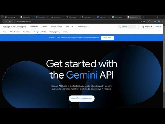 Create a Health Chatbot with Google Gemini: Google API Key